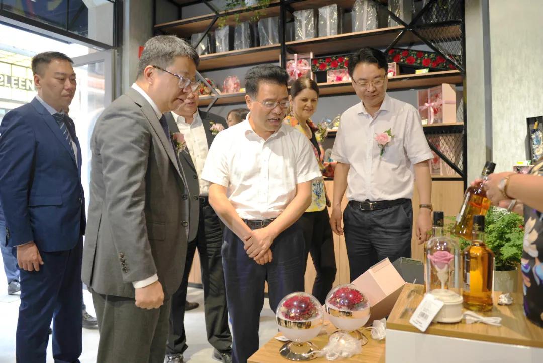 杭州灣綠地最新消息，生態(tài)建設(shè)的蓬勃發(fā)展