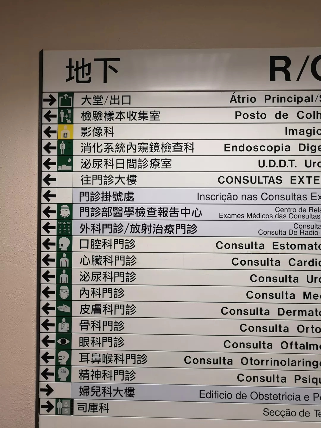 林欣若瑤 第5頁