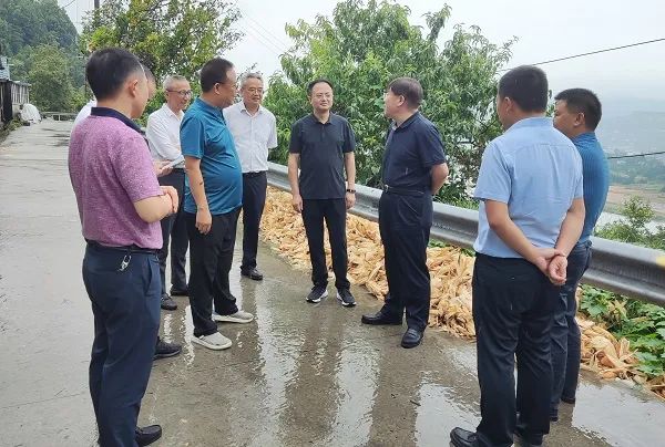 范學(xué)臣在廣元，最新消息與深度解讀