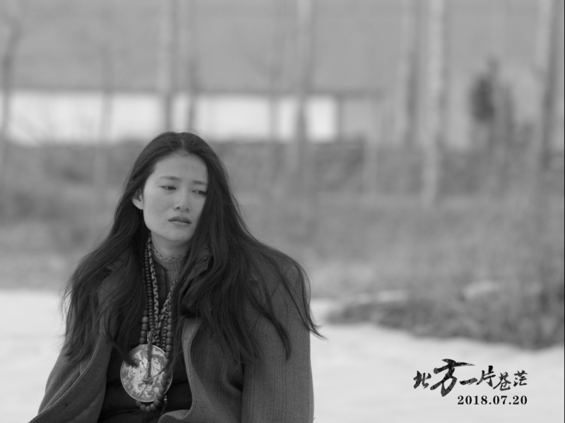 何薇聶景辰最新章節(jié)，命運(yùn)交織的旋律