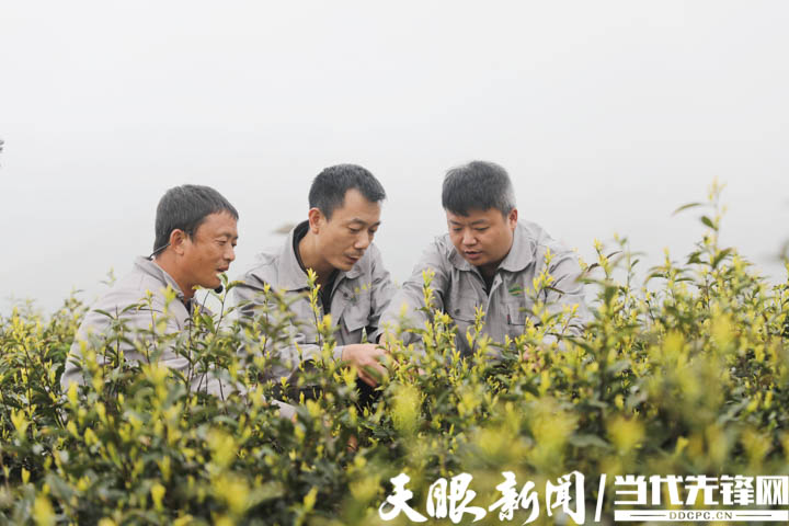 綏陽蒲場(chǎng)最新發(fā)展情況