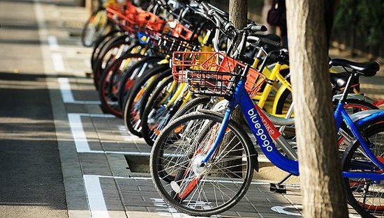 酷騎共享單車最新消息，引領(lǐng)城市出行新潮流