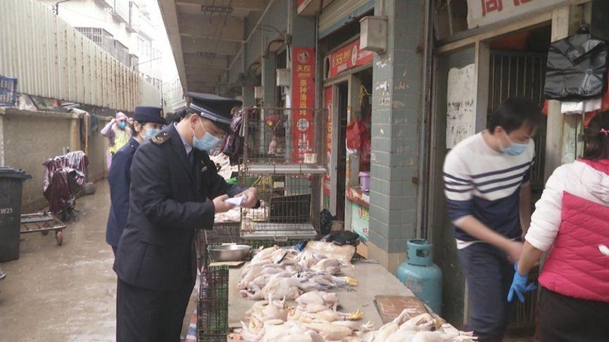 廣州活禽市場(chǎng)最新消息，動(dòng)態(tài)與趨勢(shì)分析