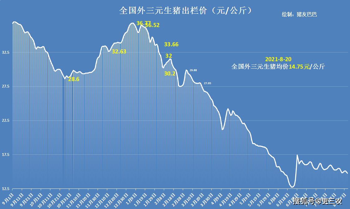 甘肅豬價(jià)今日最新消息，市場(chǎng)動(dòng)態(tài)與未來展望