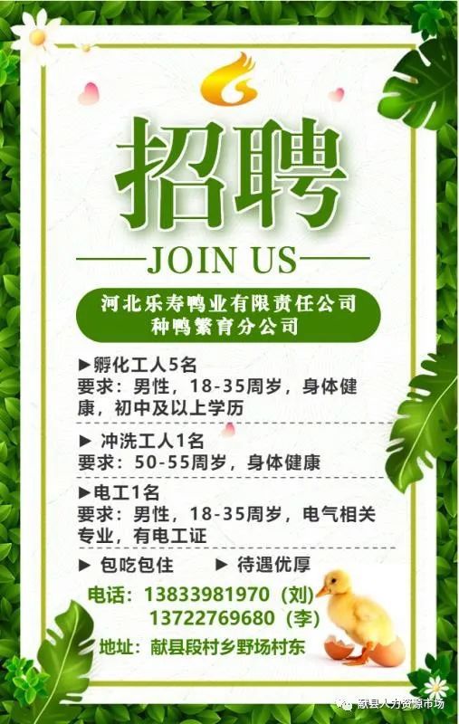 英么德最新招聘啟事，小蟲網(wǎng)人才招募之旅